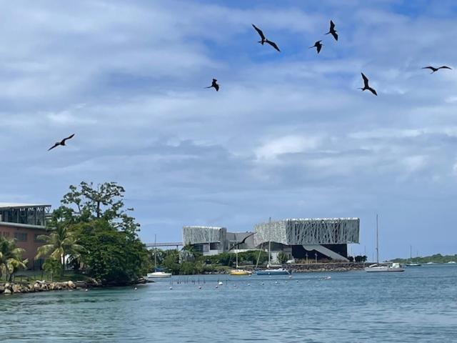 La Canopee Enchantee, Chambres D'Hotes, Piscine, Proche Aeroport, Gare Maritime Les Abymes Kültér fotó